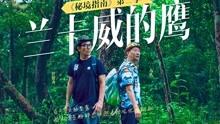 椭圆机的优点有哪些?